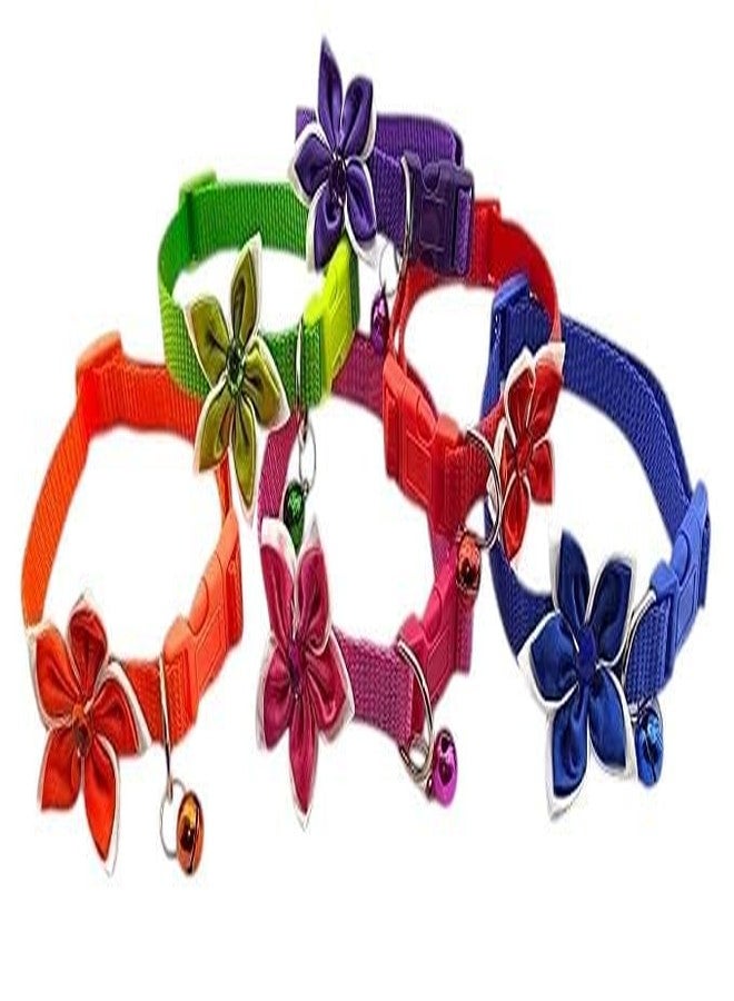 KittuPet مجموعة كيتو بيت من 3 قطع من أطواق بتصميم زهور، قابلة للعكس، تفاعلية، مناسبة للقطط والجراء والكلاب، مقاس 10 مم، لون عشوائي - Image 3